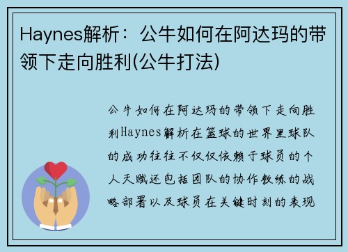 Haynes解析：公牛如何在阿达玛的带领下走向胜利(公牛打法)